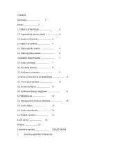 Verslo planas “Nagų dailės salonas”