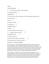 Verslo planas “Medžiotojų trobelė”