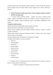 Europos Sąjungos institucijos. Klausimai - atsakymai 4 puslapis