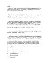 Vidinė verslo aplinka