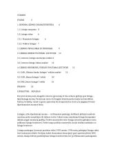 Lizingo rinka Lietuvoje