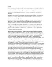 Mažmeninių tarpininkų klasifikacija referatas