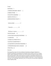 Individualios įmonės "Trinity" verslo planas