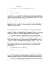 Verslo vadybos profesinės praktikos ataskaita