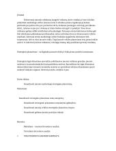 Įmonės marketingo strategijos planavimas