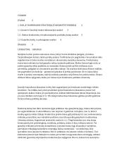 Įmonės “X” kainodaros strategiją įtakojantys veiksniai