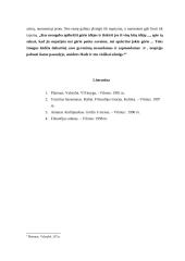 Idėjos problema Platono idealioje valstybėje 5 puslapis