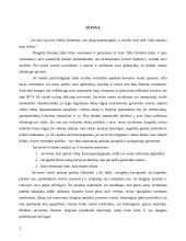 Kompleksinė refleksija 2 puslapis