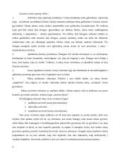 Kompleksinė refleksija 3 puslapis