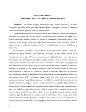 Kompleksinė refleksija 4 puslapis