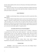 Kompleksinė refleksija 6 puslapis