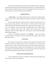 Kompleksinė refleksija 7 puslapis