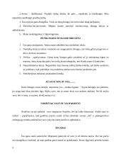 Kompleksinė refleksija 8 puslapis