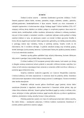 Pirkimo-pardavimo sutarties teisinė analizė 3 puslapis