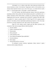Pirkimo-pardavimo sutarties teisinė analizė 5 puslapis