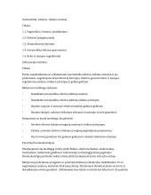 Automobilių elektros tiekimo sistema