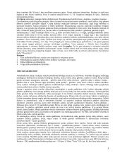 Antikinio pasaulio istorija 2 puslapis