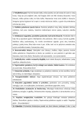 Efektyvaus klausymo teorija 11 puslapis
