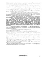 Magnetinės medžiagos 11 puslapis
