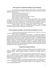 Magnetinės medžiagos 8 puslapis