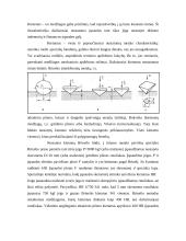 Mechaninės metalų savybės 5 puslapis
