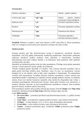 Microsoft Office PowerPoint 8 puslapis