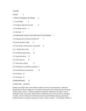 Dalykinio bendravimo su Švedijos atstovais ypatumai