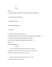 Delegacijos (10 asmenų) vizito Lietuvoje vadyba