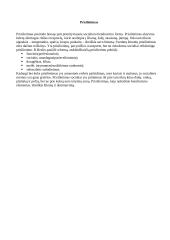 Nežodinis bendravimas 4 puslapis