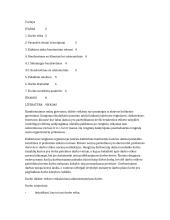 Etiketo reikalavimai administratoriui