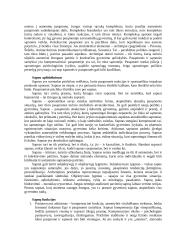 Sapnų teorija 14 puslapis