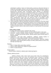 Sapnų teorija 15 puslapis