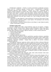 Sapnų teorija 19 puslapis