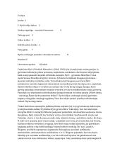 Nyčės etinės idėjos