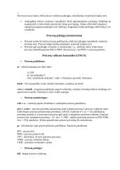 Sisteminis programavimas 11 puslapis