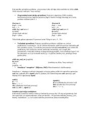 Sisteminis programavimas 13 puslapis