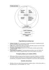 Sisteminis programavimas 4 puslapis