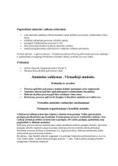 Sisteminis programavimas 8 puslapis