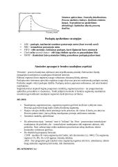 Sisteminis programavimas 9 puslapis