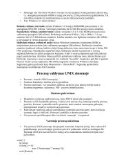 Sisteminis programavimas 10 puslapis