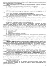 Tarptautinės viešosios teisės pasiruošimas egzaminui 11 puslapis