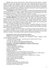 Tarptautinės viešosios teisės pasiruošimas egzaminui 6 puslapis