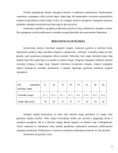 Vamzdiniai mazgai 2 puslapis