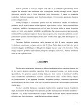 Vamzdiniai mazgai 11 puslapis