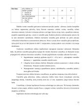 Vamzdiniai mazgai 13 puslapis