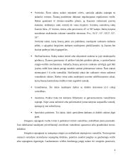 Vamzdiniai mazgai 4 puslapis