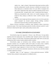 Vamzdiniai mazgai 7 puslapis