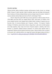 Aklosios dėmės skersmens matavimas. Spalvų skyrimas. Teksto, atspausdinto be tarpų skaitymas 2 puslapis