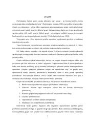 Diskutuojančių žmonių sąveikos mažoje grupėje įvertinimas (R.F. Bales Metodika) 3 puslapis