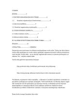 Vadybos etika N organizacijoje